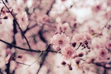 fullsizeoutput_413
