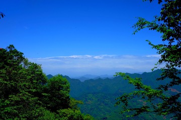 A967323D-603E-4F45-8200-A47F7A7AA14D/L0/001