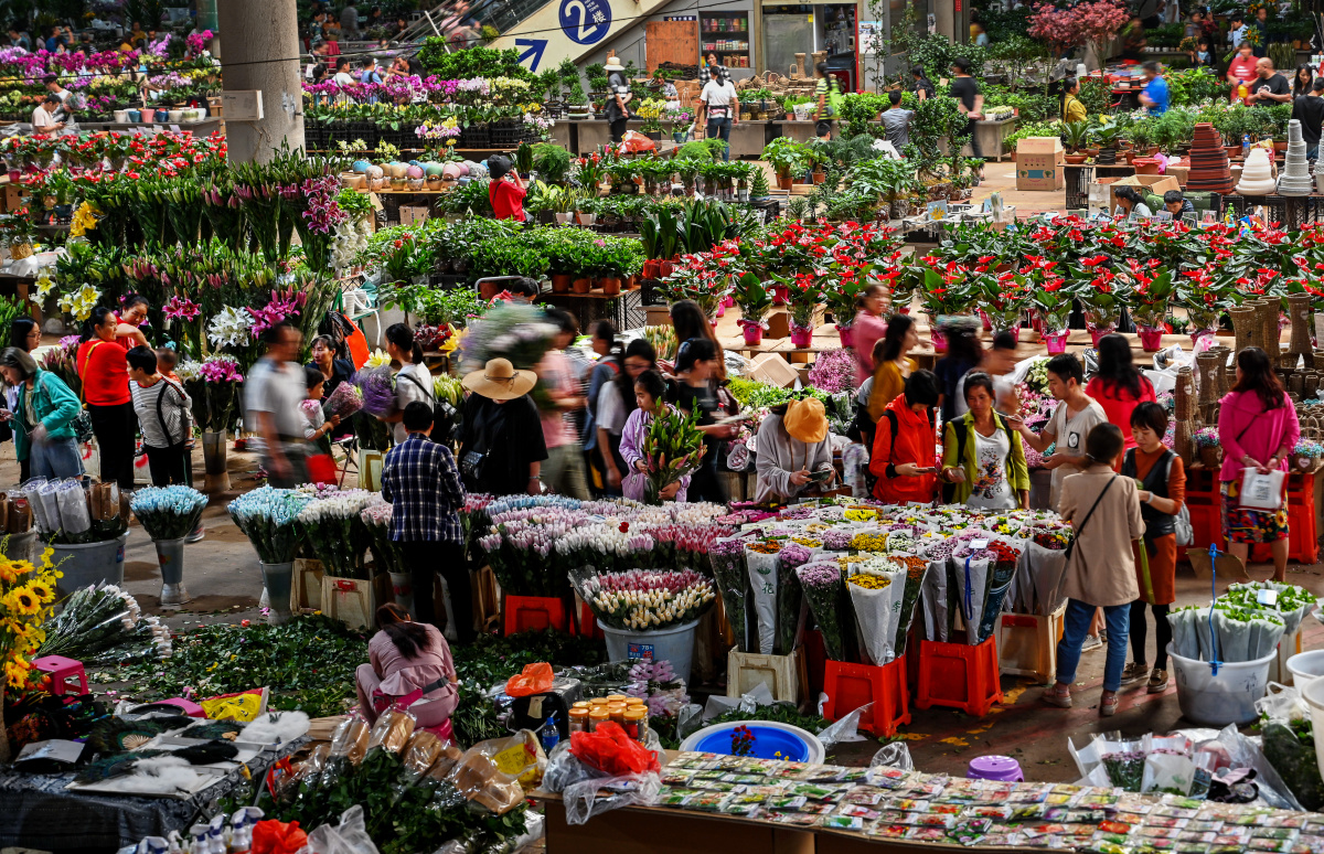斗南花市