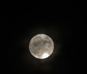 9D121925-8AA4-4239-BFB3-87ABC3CE8EF2/L0/001