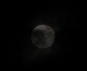 F1631021-9E40-4EF4-A613-B6B95736101D/L0/001