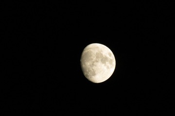43E84A92-43F2-45B2-AA95-816265561379/L0/001