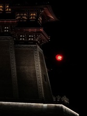 1000131240
