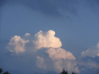 6AAADD6E-ADDB-4B84-B017-1A480884943A/L0/001