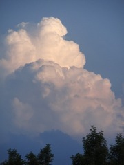 E772B23A-DF46-4A93-9773-3D5226FC9BE7/L0/001