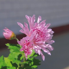 C36900BA-3BB9-4B69-8ABD-BFCCCC468BD6/L0/001