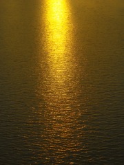 A6438E14-E574-4F56-9731-C41BF80F9972/L0/001