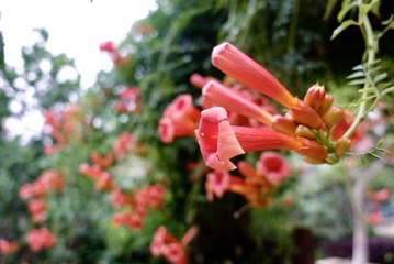 1CF3B6E3-0B23-44C3-A5B3-DD3DD3086DE5/L0/001