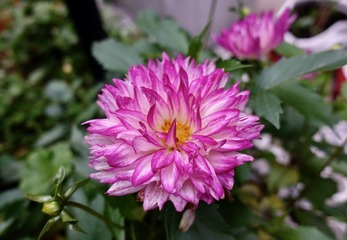 89DCAC97-7F40-405A-A3AD-B30F10A7EF56/L0/001