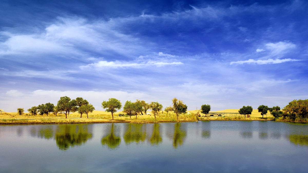 库尔勒塔里木胡杨林之夏