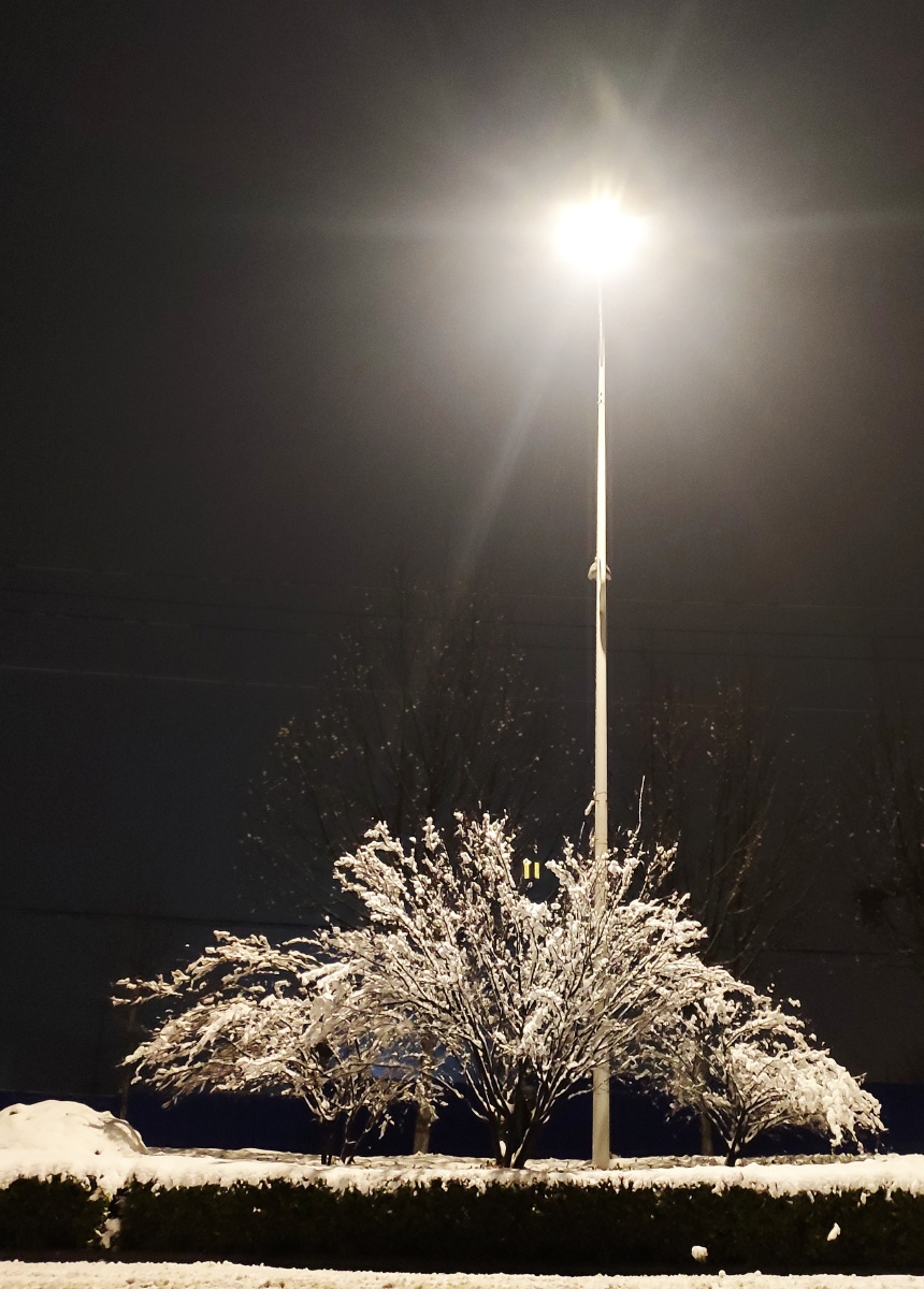 雪夜路灯一棵树