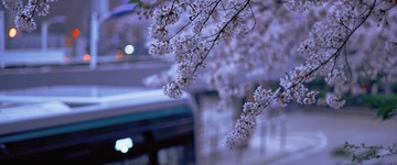9E59CDCF-7FFB-4AB0-88E2-E534996B82BD/L0/001