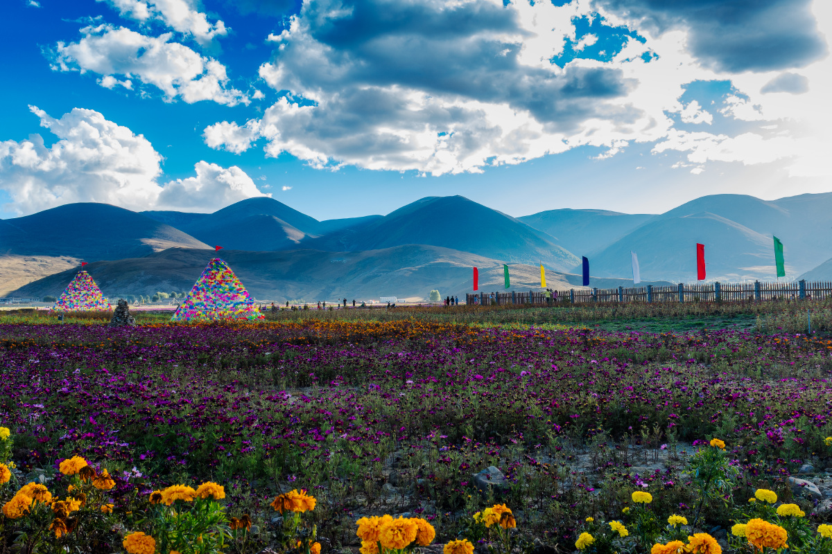 湛蓝天空,旷阔草原,芳草连天,璀璨花海,一望无际,点缀于广阔