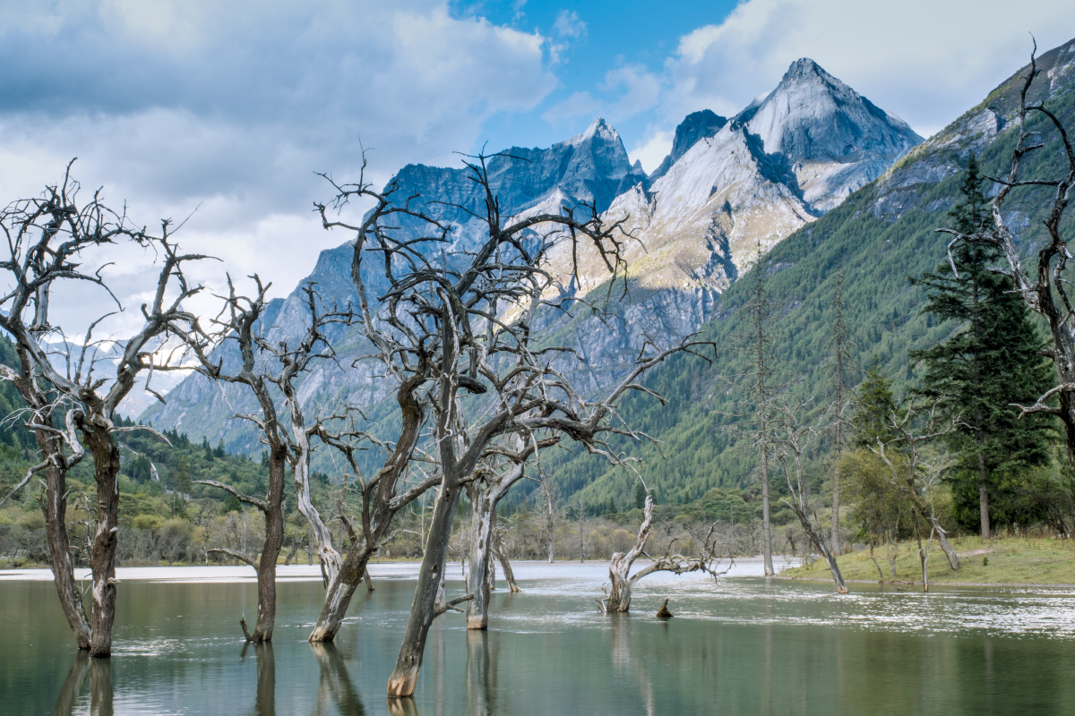 四姑娘山长坪沟枯树滩