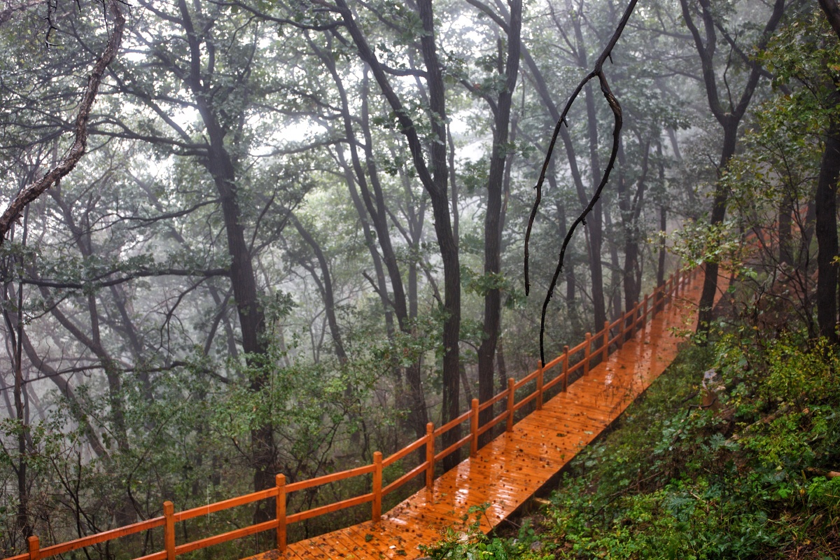 站在雨中观山景