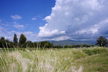 3A19E656-360B-427C-9132-3A98A91D52EA/L0/001