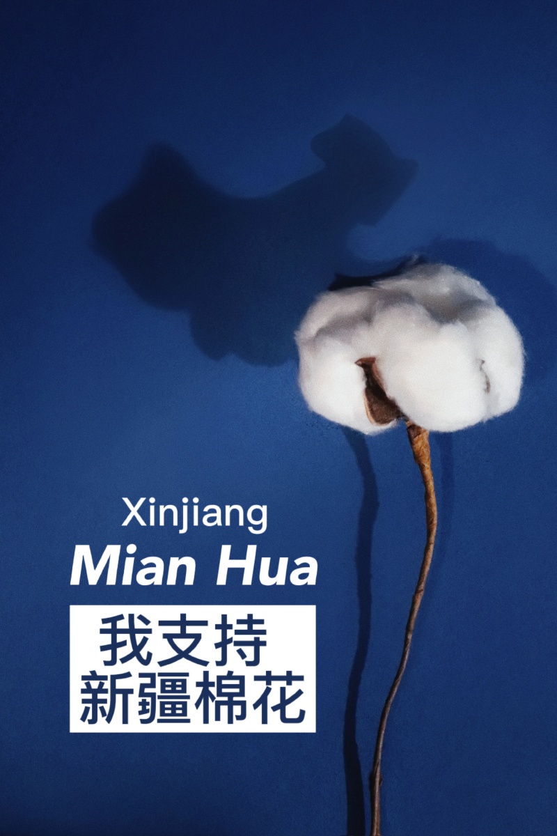原创摄影作品|力挺新疆棉花!