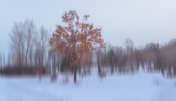 6E785124-810C-4CA5-9CFF-8F9C45A4B3E9/L0/001