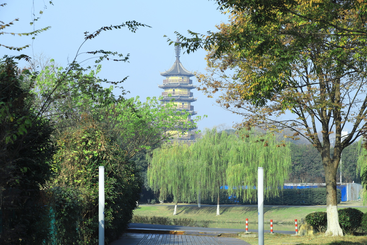 金坛城南公园冬日春色