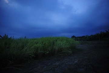 Optional("30E7D2D4-F1F8-4BE9-9DED-8D190932480F/L0/001")