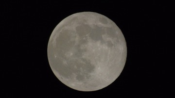 CF655297-1A2A-45E6-A812-D4A068E9D46F/L0/001