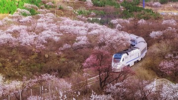 77364