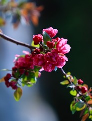 C6049174-CB14-4C7D-A828-DC1708375950/L0/001