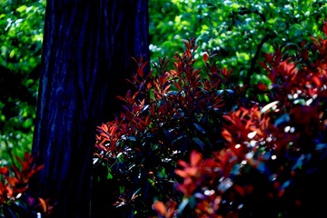 68F1F072-84FB-4845-9D36-143176237533/L0/001