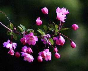 A4F23873-CDDF-49A3-BBCA-AA71F7DE5523/L0/001