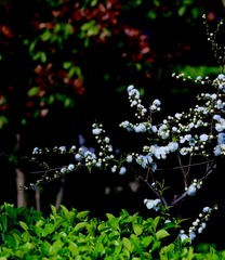 7E16AB5F-8759-4E49-9CA4-DE3515858AAC/L0/001