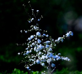 98949116-1EC7-4F5F-A9D2-AA6A5A33B8A7/L0/001