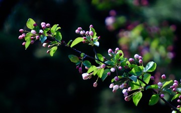 54F10CF7-7A31-41AF-BC73-64E3CA599ED1/L0/001