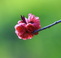 ED983745-4D5B-4E0E-85AF-C8387C12AB75/L0/001