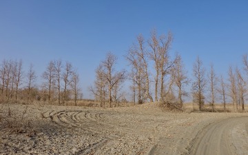 6ADB466C-0CE7-4956-B291-8F9C7845183E/L0/001
