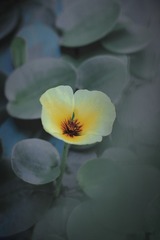 FB86088B-34E9-4C81-BD1A-6D71E44762EF/L0/001