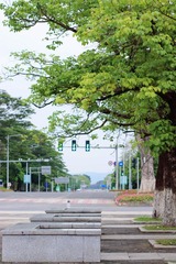 A0B2E053-F7C1-4B14-B38D-D2A742B75916/L0/001