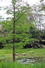 0301E0DC-EE7B-40F4-8BA2-58710263C5E0/L0/001