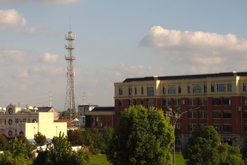 1556754