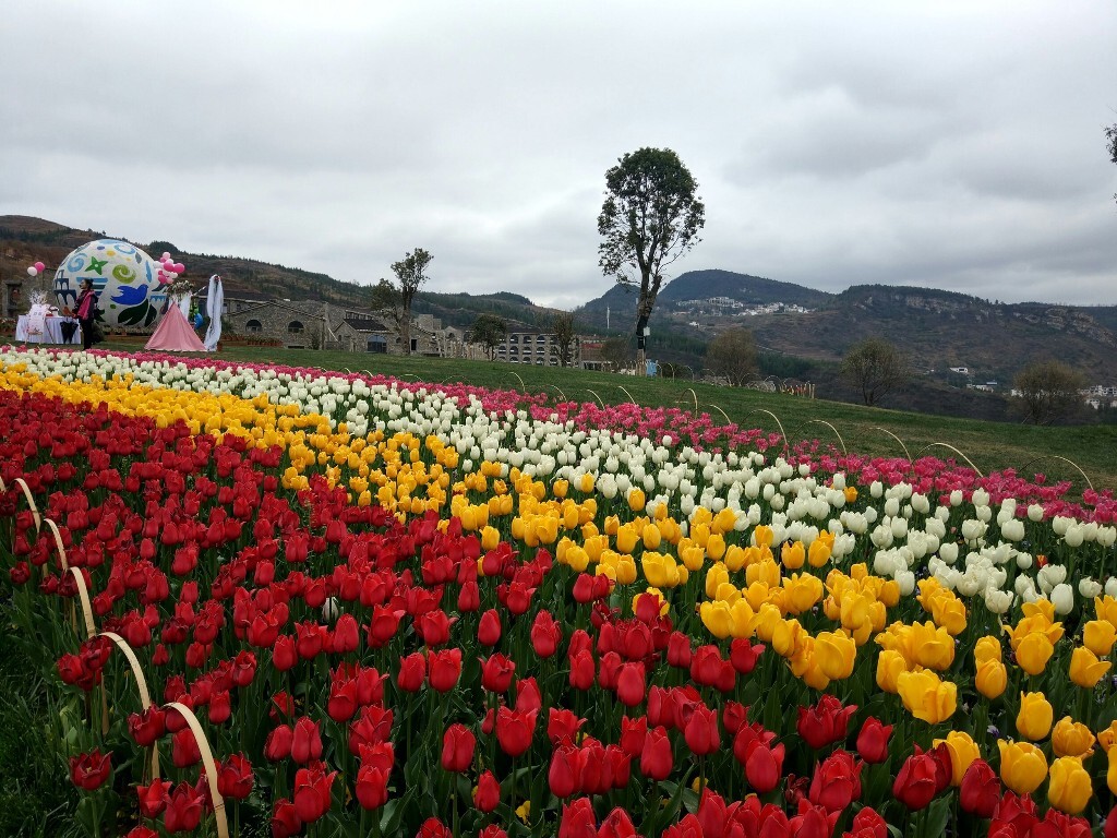 六盘水大河堡凉都花海图片