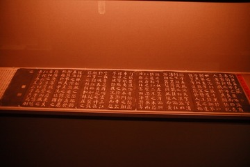 1000007981
