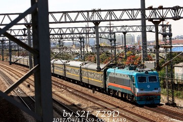 317194