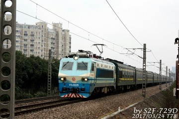 295606