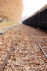 795078