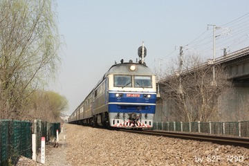 1295481
