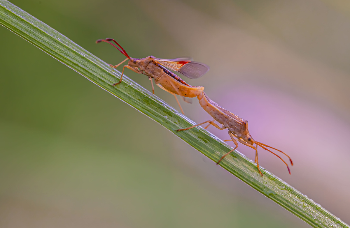 虫虫的七夕节花甲少年szq关注
