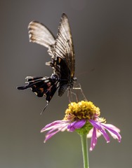 IMGP2357a