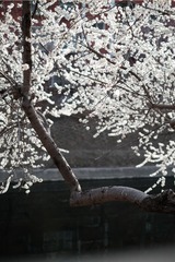 7AA14D68-2D5E-42ED-AE8C-055F483CBFC9/L0/001