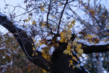 6006D529-49C8-4E0D-BFD7-D2B0BA2AE56F/L0/001
