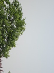 1000006309