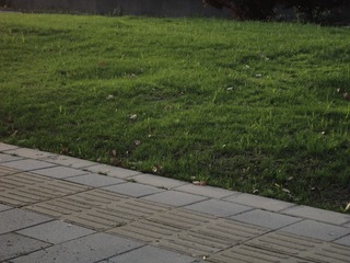 DSC04706